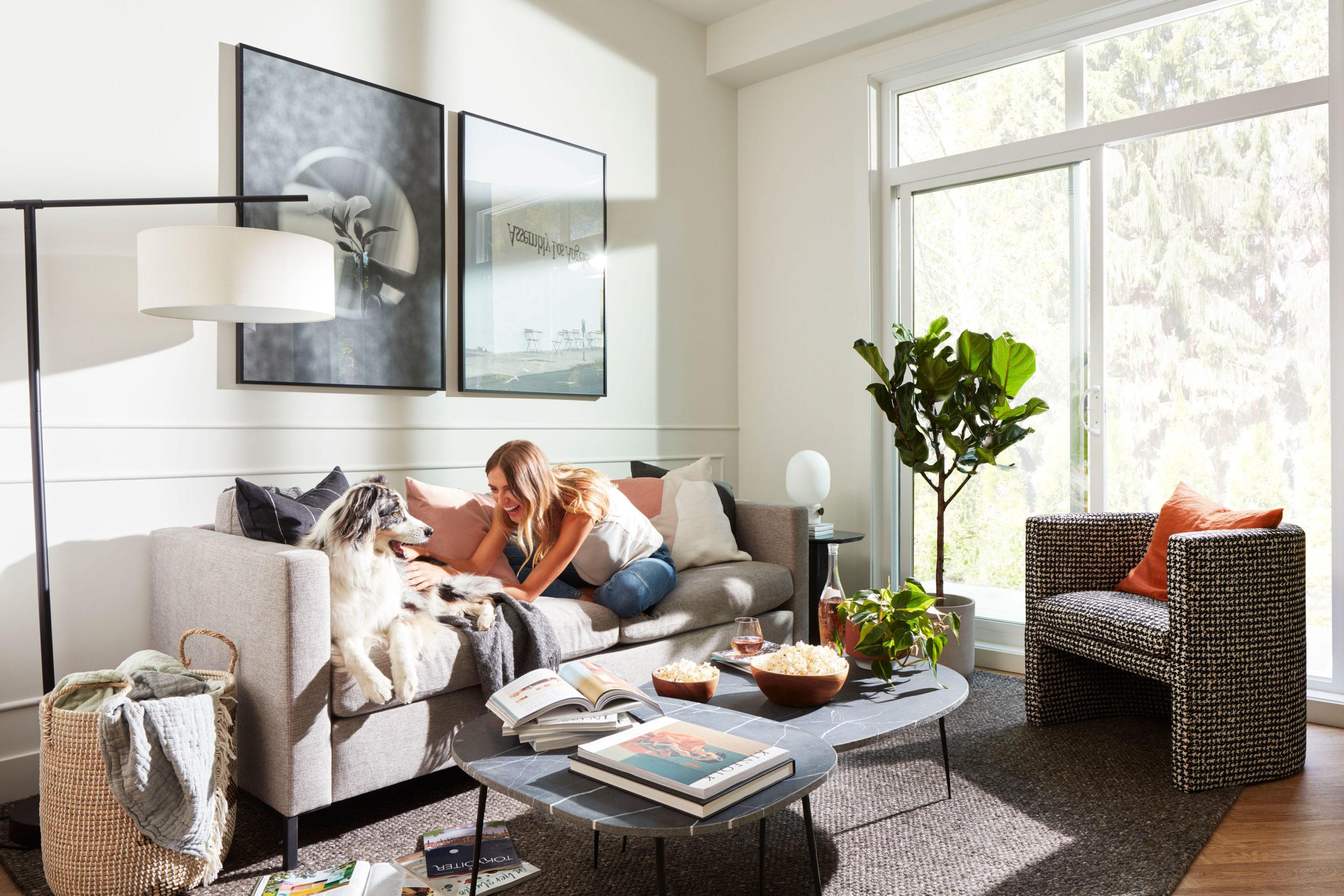 5 Ways to Make Your Home Safer and More Comfortable for Your Dog