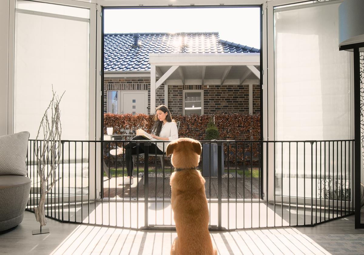 Indoor vs. Outdoor Dog Gates: Finding the Right Solution for Your Space