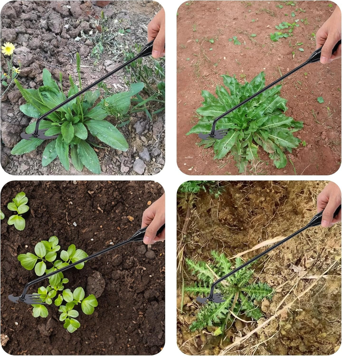 Zevolim| New Garden Weed Pulling Tool