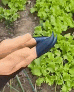 Zevolim| Garden Planting Gloves