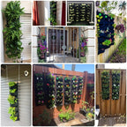 Zevolim| WallPots Stylish Vertical Gardening