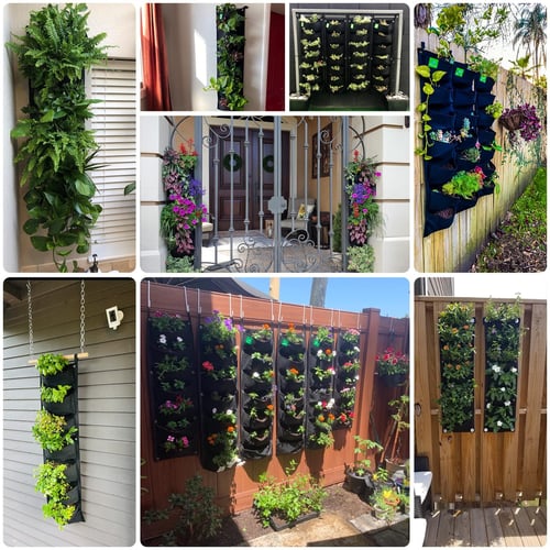 Zevolim| WallPots Stylish Vertical Gardening