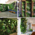 Zevolim| WallPots Stylish Vertical Gardening