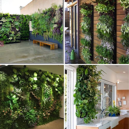 Zevolim| WallPots Stylish Vertical Gardening