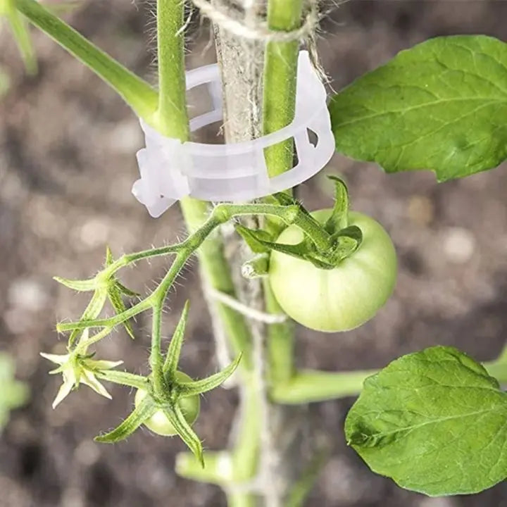 100 pcs. Plant support clips | Perfect hold for healthy plants