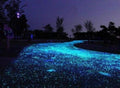 Gleam - Glow-in-the-Dark Garden Pebbles | Bowlift