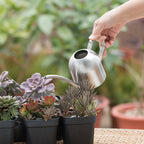 Premium Stainless Steel Watering Can