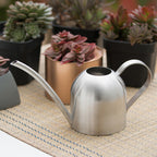 Premium Stainless Steel Watering Can