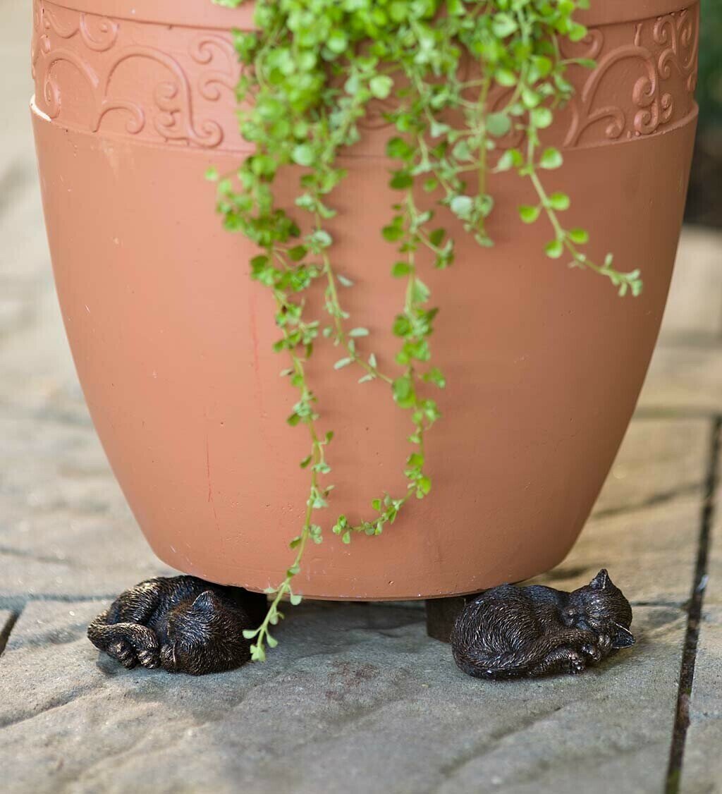Zevolim| Potty Feet Plant Pot Feet