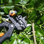 Zevolim| Professional Garden Grafting Tool Kit