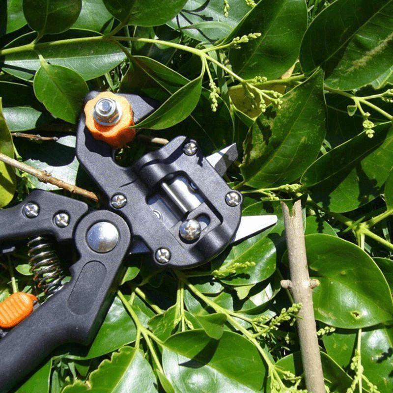 Zevolim| Professional Garden Grafting Tool Kit