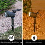 Zevolim| Solar Energy Garden Spotlight - LumaSpot