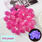 Zevolim| Glow-in-the-Dark Garden Pebbles