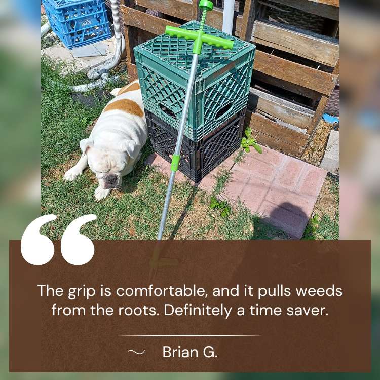Zevolim| RootRipper Garden Weed Puller Tool - Heavy-Duty Handheld Weeder for Efficient Weed Removal in Lawns & Gardens