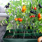 Zevolim| Planting bag with multiple compartments – Robust garden storage for plants and herbs