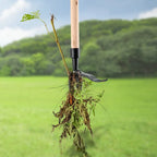 Zevolim| New removable weeder