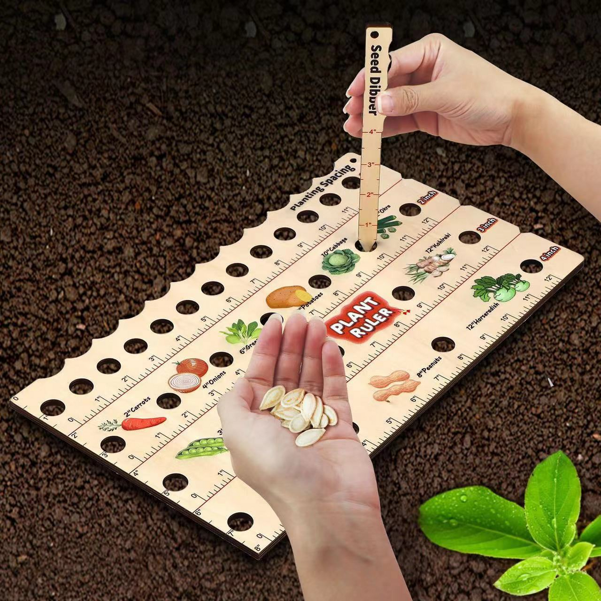 Zevolim| Wood Plant Ruler – Multifunctional Seed Measuring Tool for Garden