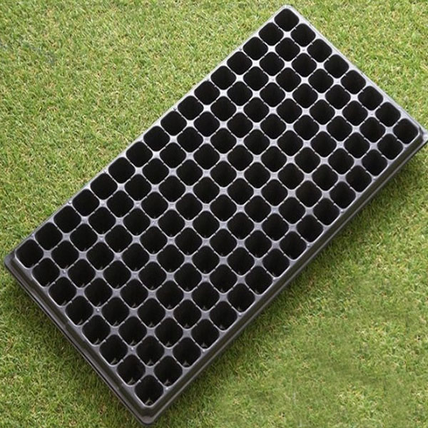 Zevolim| Rectangular Plant Bowl – Seedling Tray for Efficient Germination and Growth of Seedlings
