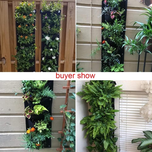 Zevolim| WallPots Stylish Vertical Gardening
