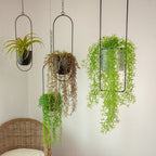 Zevolim| DecoBloom Hanging Planter – Elegant Indoor & Outdoor Metal Plant Pot with Chain