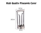 Stainless Steel Easy Quick Pineapple Cutter