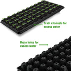 Zevolim| Rectangular Plant Bowl – Seedling Tray for Efficient Germination and Growth of Seedlings