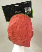 Rubies Costume Co DC Comics Batman Adult The Riddler Costume Character Mask 1995