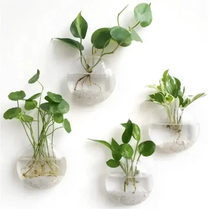 GlasOase — Bring Your Walls to Life with Fresh Nature Power and Style