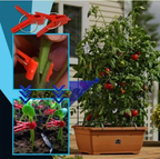 Zevolim| Plastic Refinement Clips for Garden Plants – Ideal for Vegetables and Plant Care