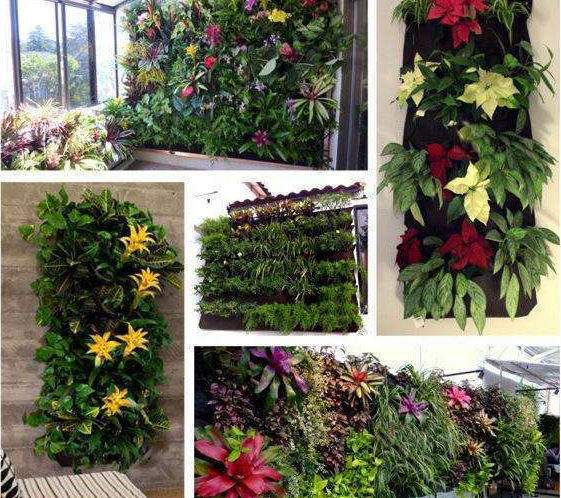 Zevolim| Plant wall bags for garden – Vertical planter for indoors and outdoors