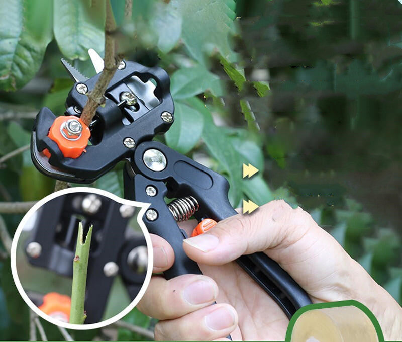 Zevolim| Manual Tree Grafting Scissors