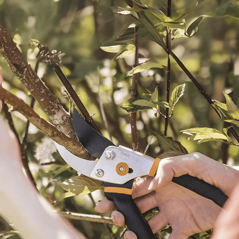 Zevolim| Cutivor Pro Garden Shears | Stainless Steel Blade | Ergonomic & Non-Slip | Precision for Fruit Trees & Shrubs