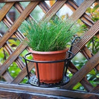 GrünMeister — Showcase your green paradise stylishly without drilling or rust!