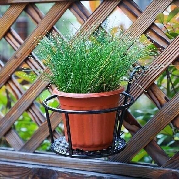 GrünMeister — Showcase your green paradise stylishly without drilling or rust!