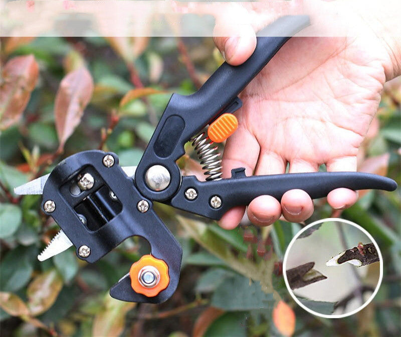 Zevolim| Manual Tree Grafting Scissors