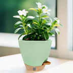 Self-Watering Planter for Indoor Plants with Visible Water Level