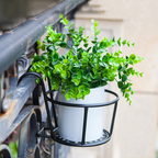 Zevolim| Hanging Plant Basket made of Metal – Balcony Planter Pot with Hook for Garden and Terrace