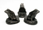 Zevolim| Potty Feet Plant Pot Feet