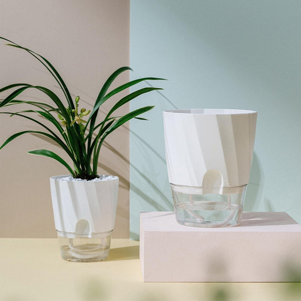 Self Watering Planter for Easy Plant Care
