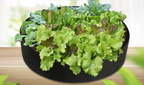 Zevolim| Round Plant Growth Bag – Garden Container for Easy Plant Growth
