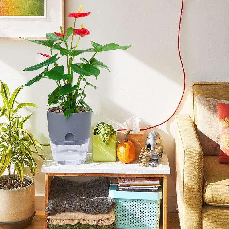 Zevolim| Self-watering Hydro-Flower Pot
