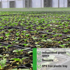Zevolim| Rectangular Plant Bowl – Seedling Tray for Efficient Germination and Growth of Seedlings