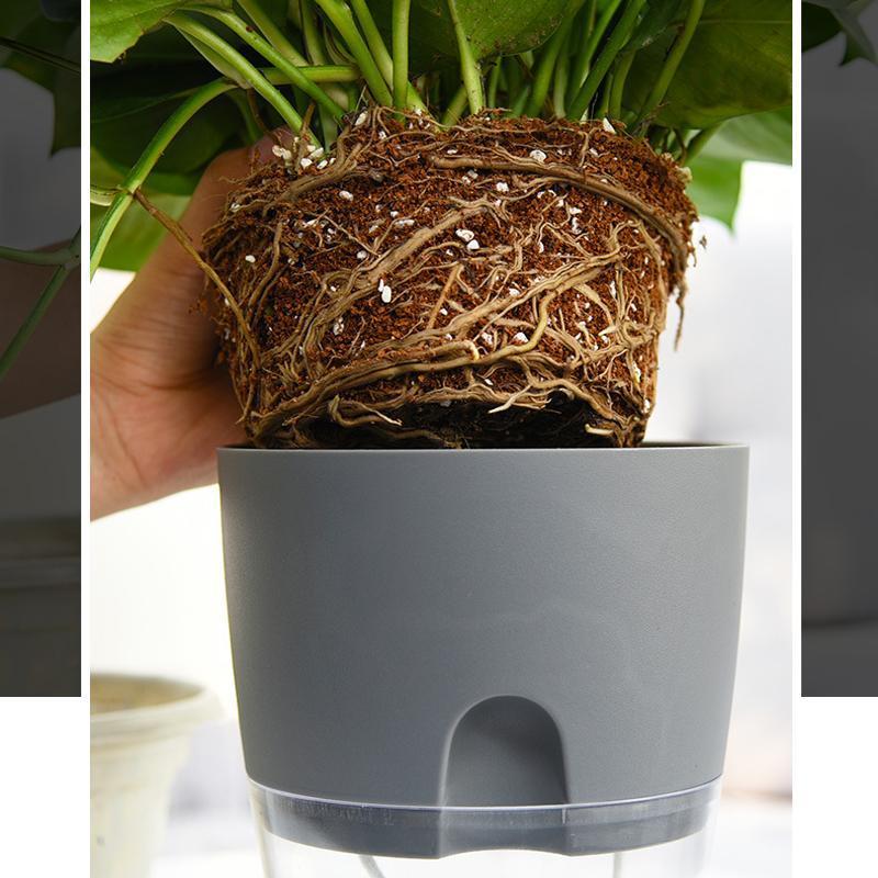 Zevolim| Self-watering Hydro-Flower Pot