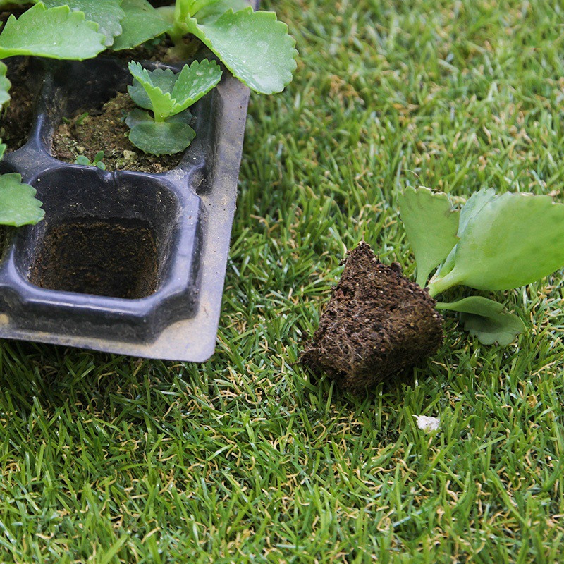 Zevolim| Rectangular Plant Bowl – Seedling Tray for Efficient Germination and Growth of Seedlings