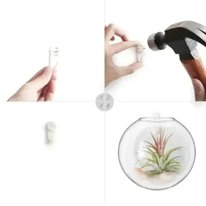 GlasOase — Bring Your Walls to Life with Fresh Nature Power and Style