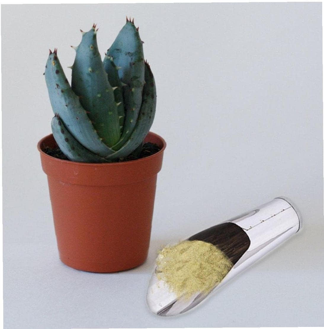 Zevolim| Stainless Steel Scoop for Potting Soil – Robust Planting Scoop for Garden and Balcony