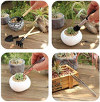 Zevolim| Succulent Garden Tool Set with Spray Bottle and Accessories