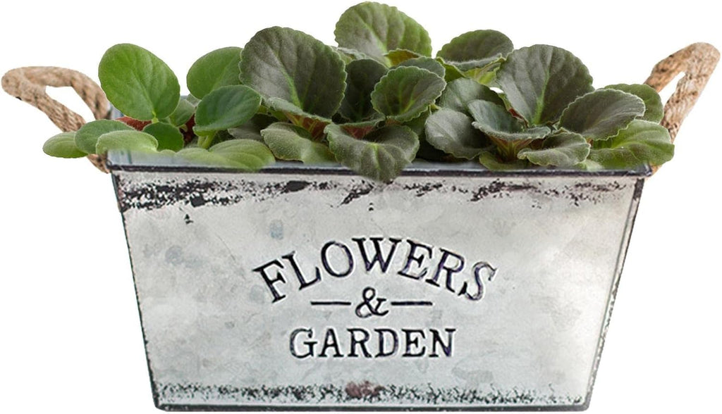 Zevolim| Decorative flower and garden container made of metal with hemp rope handles