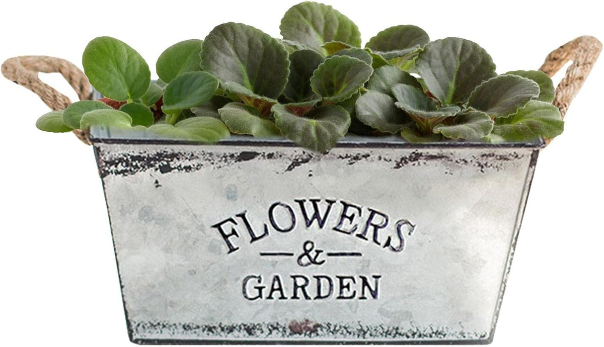Zevolim| Decorative flower and garden container made of metal with hemp rope handles