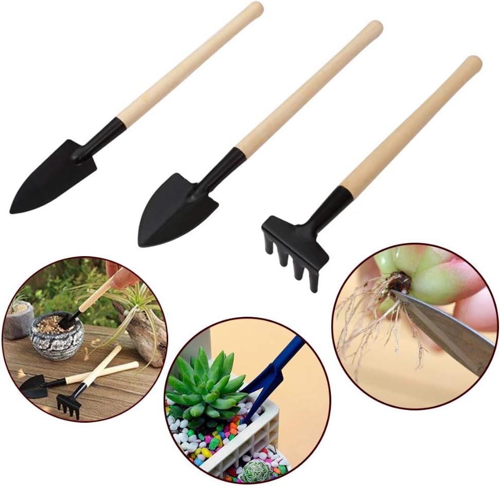 Zevolim| Succulent Garden Tool Set with Spray Bottle and Accessories